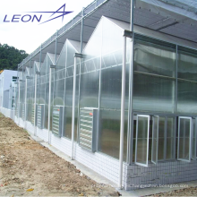 LEON series 2016 invernadero agrícola de jardín más vendido / sala de sol / invernadero de película